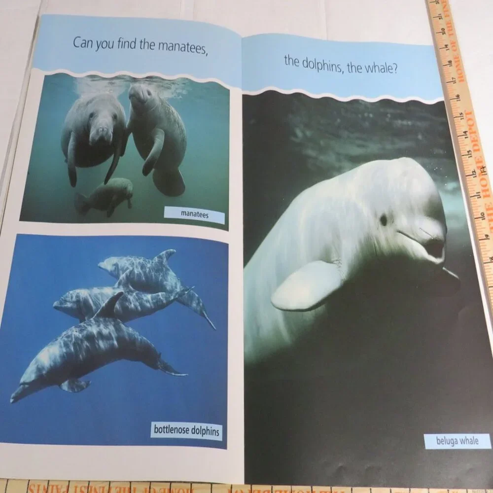 Under the Sea  BIG BOOK (almost 2 feet tall) with teacher pages CLASSROOM SIZE